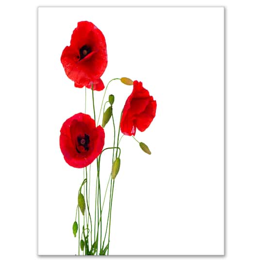 Designart - Isolated Red Poppy Flowers